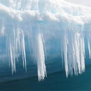 1767 Antarctica - Half Moon Island - Zodiac Cruise