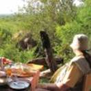 1231 Madikwe - Elephant for breakfast